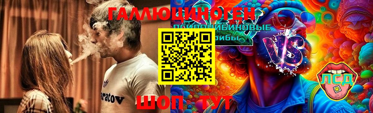 Псилоцибиновые грибы Psilocybine cubensis  Вход с VPN  Электрогорск 