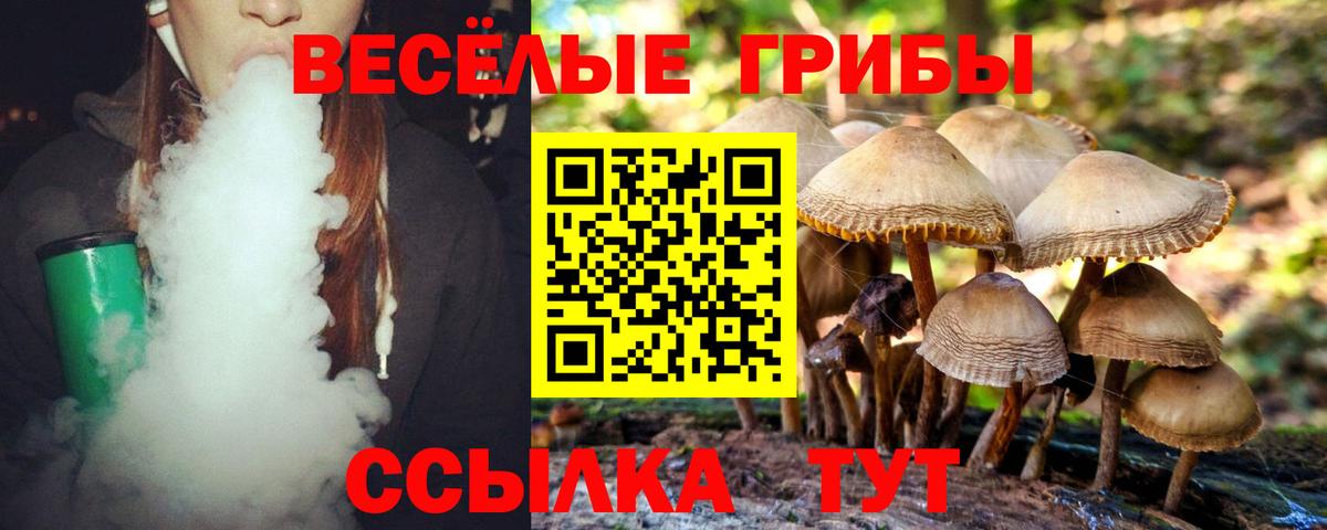 Галлюциногенные грибы Magic Shrooms Электрогорск